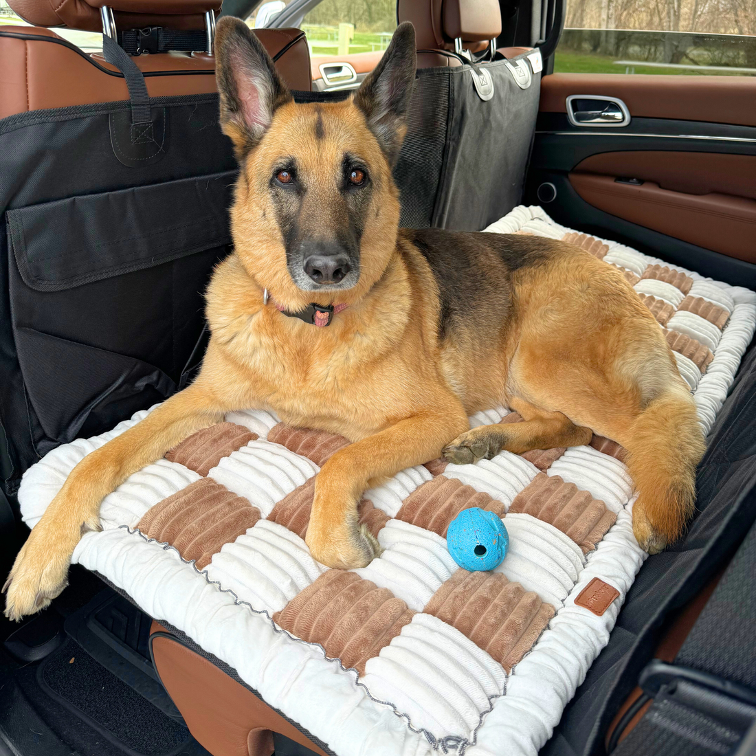 Luxory ™ - Couverture de Siège-auto Pour Animaux