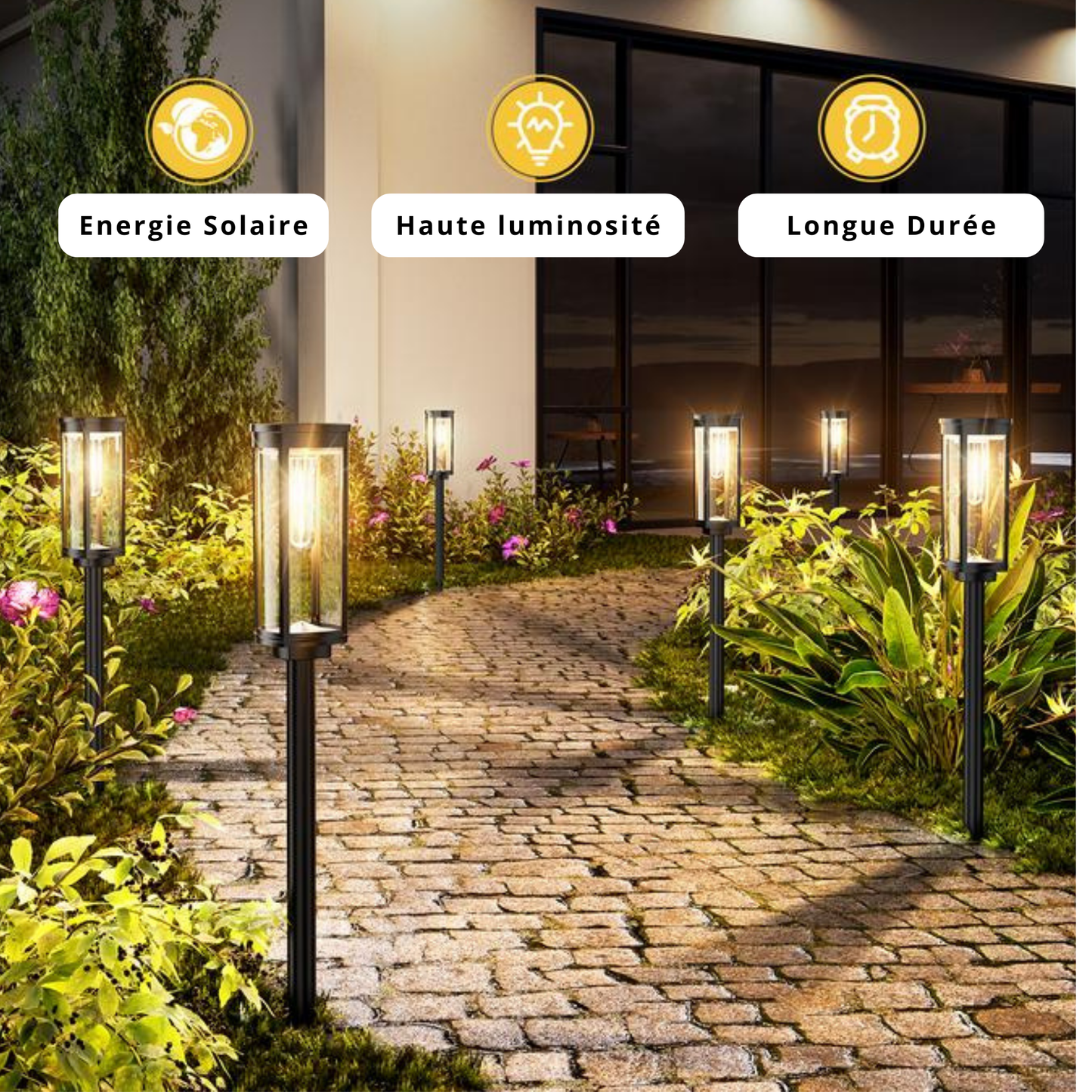 Luxory ™ - Lanternes Solaires Magiques
