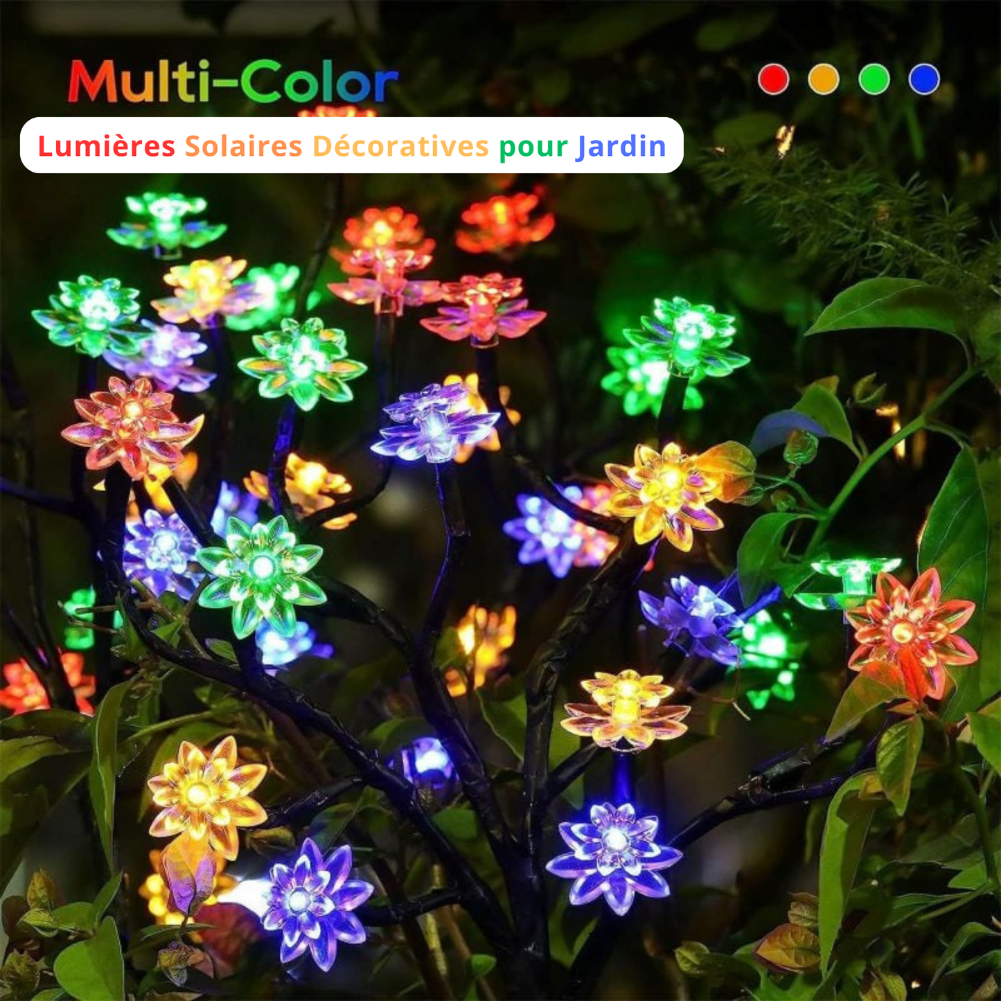 Luxory ™ - Fleurs Solaires Magiques