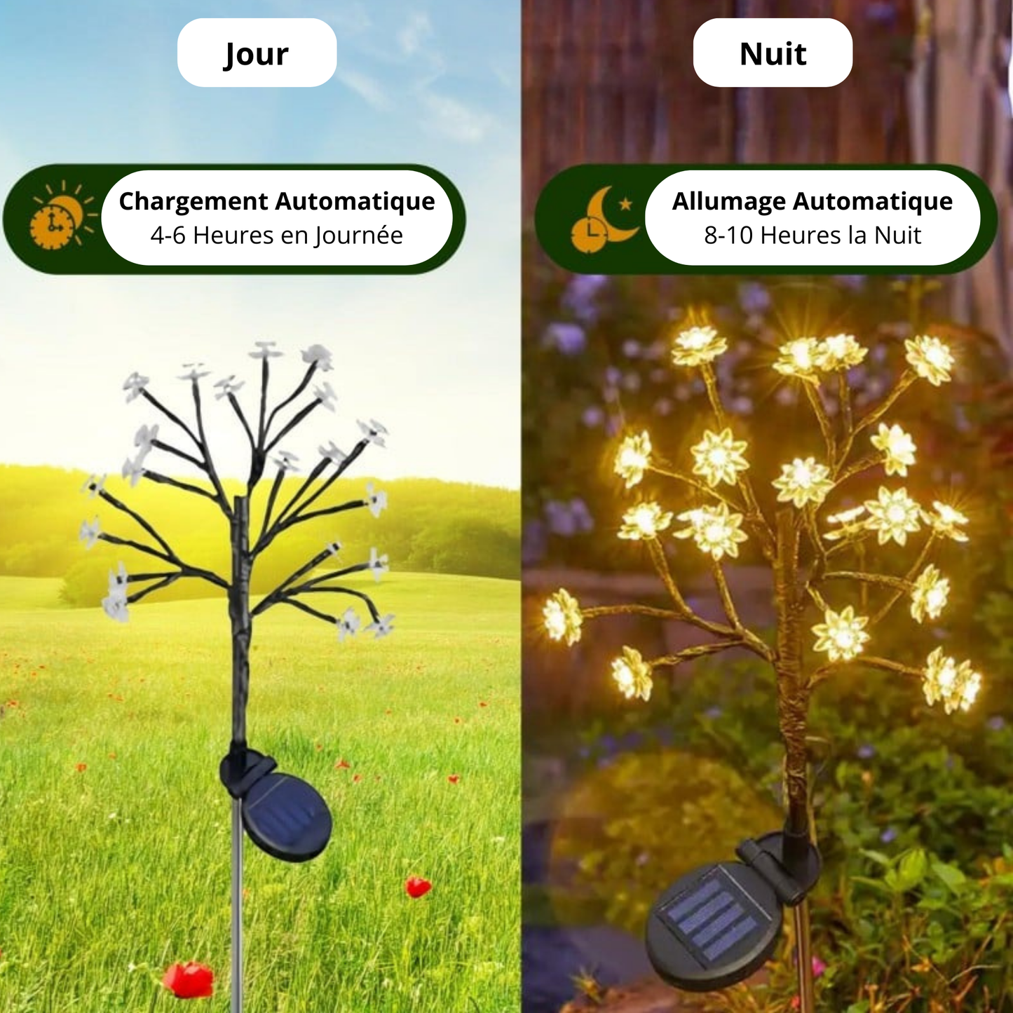 Luxory ™ - Fleurs Solaires Magiques