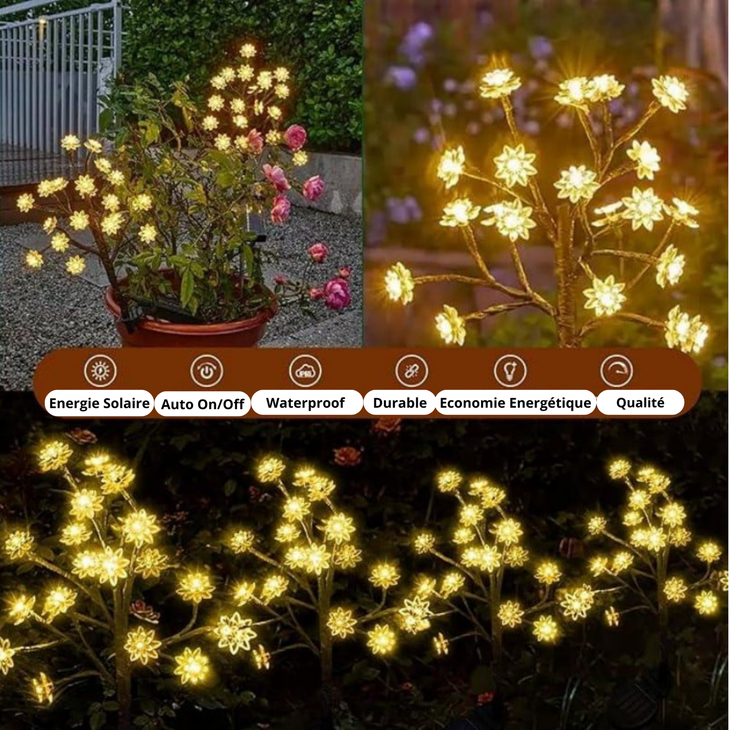 Luxory ™ - Fleurs Solaires Magiques