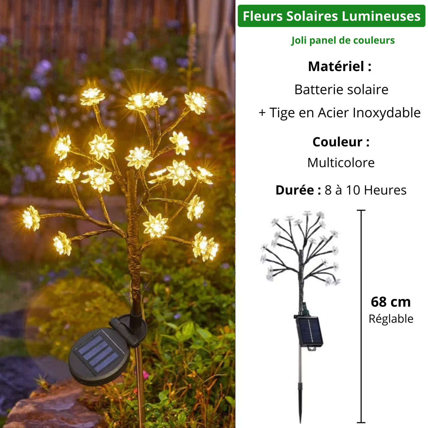 Luxory ™ - Fleurs Solaires Magiques