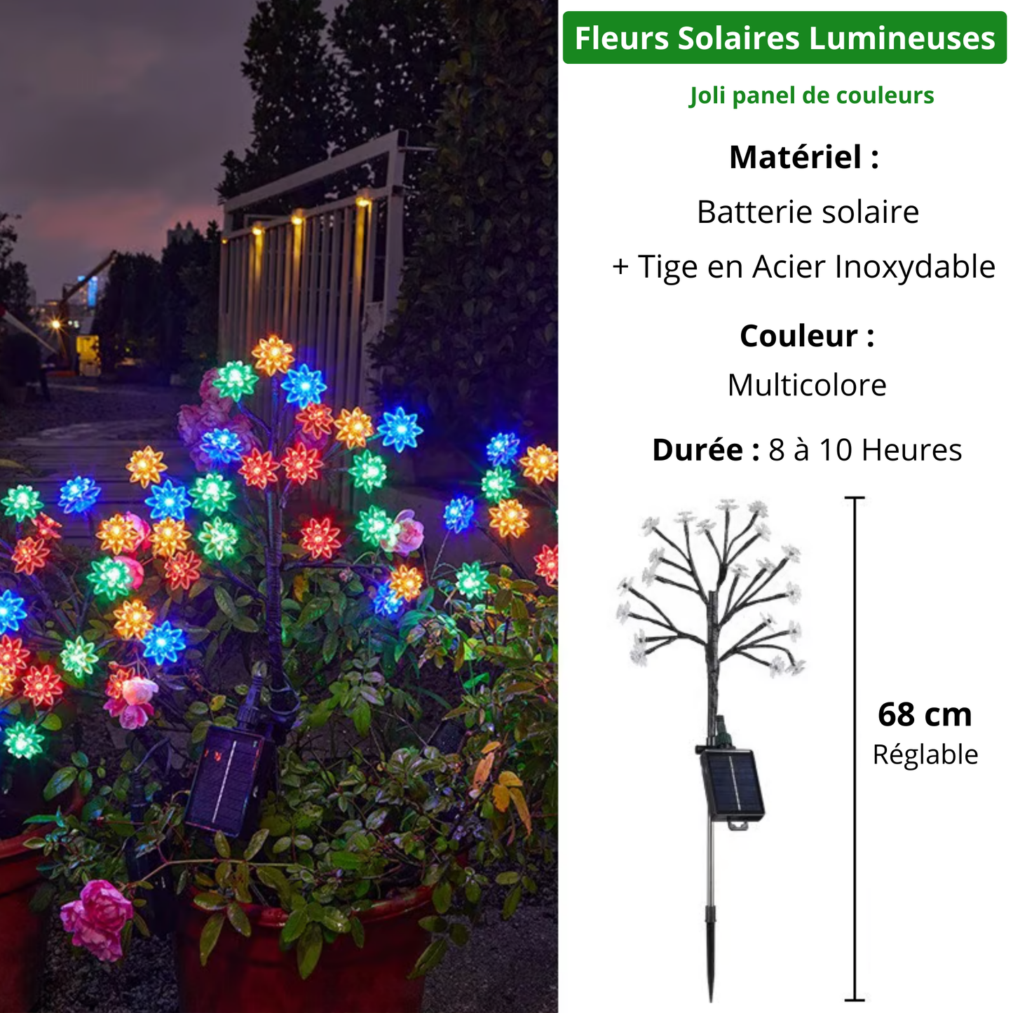 Luxory ™ - Fleurs Solaires Magiques