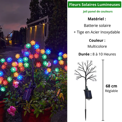 Luxory ™ - Fleurs Solaires Magiques